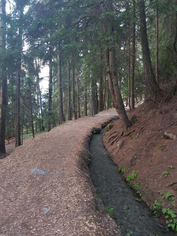 Apartment Bellevue 1 Et 2, Lift 150m Veysonnaz